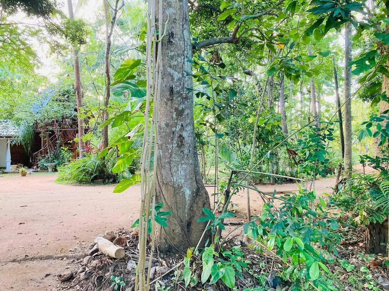 Sigiri Lodge Tree House Sigiriya