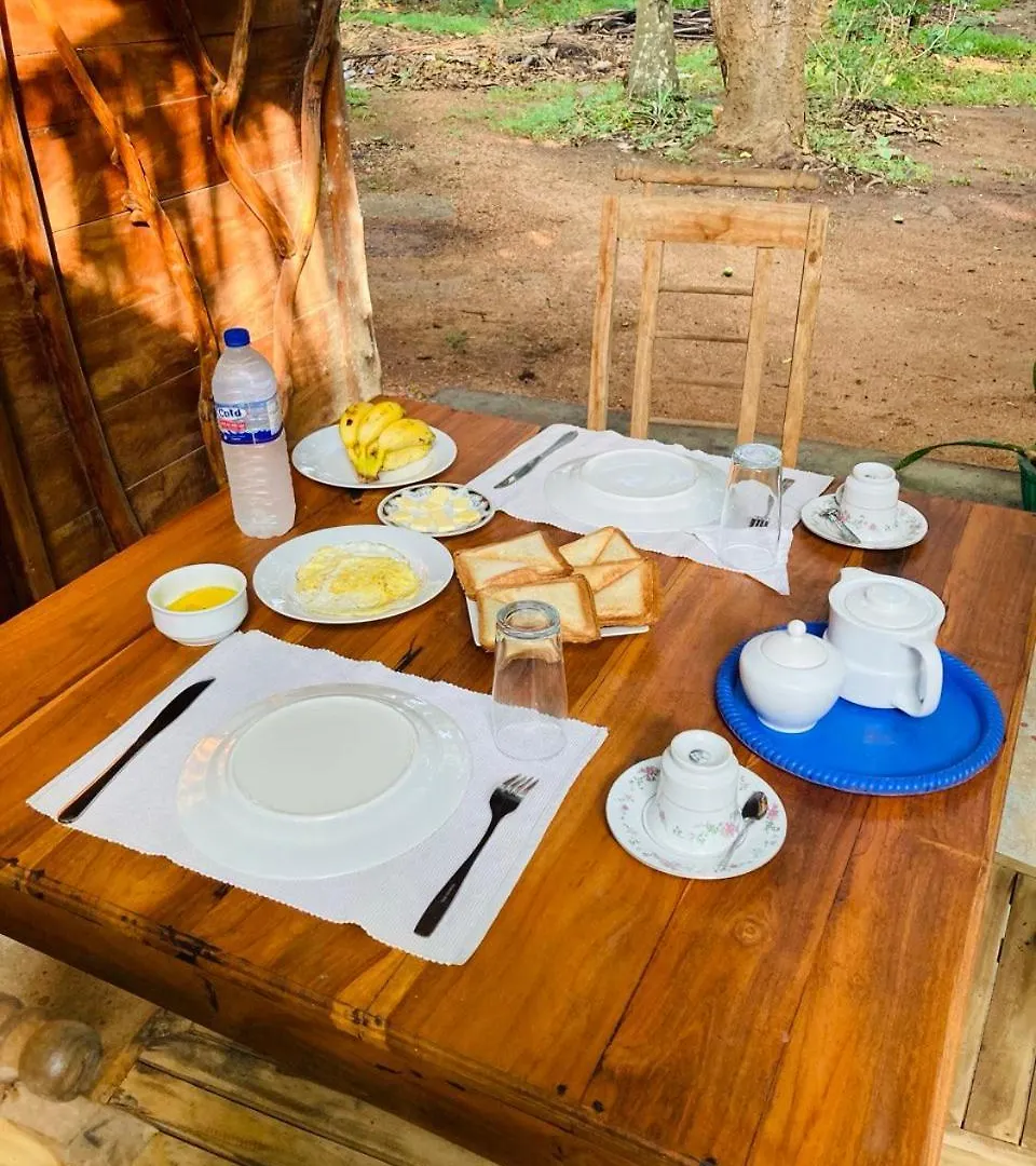 Sigiri Lodge Tree House Sigiriya Sri Lanka