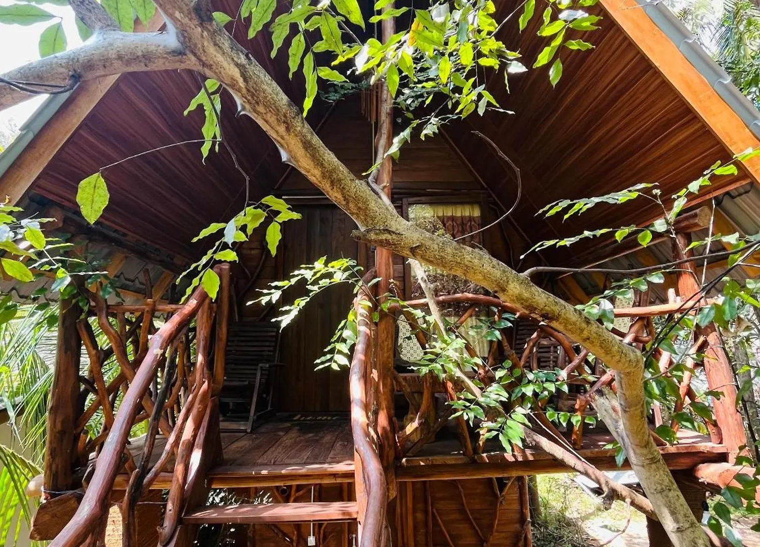 Sigiri Lodge Tree House Sigiriya