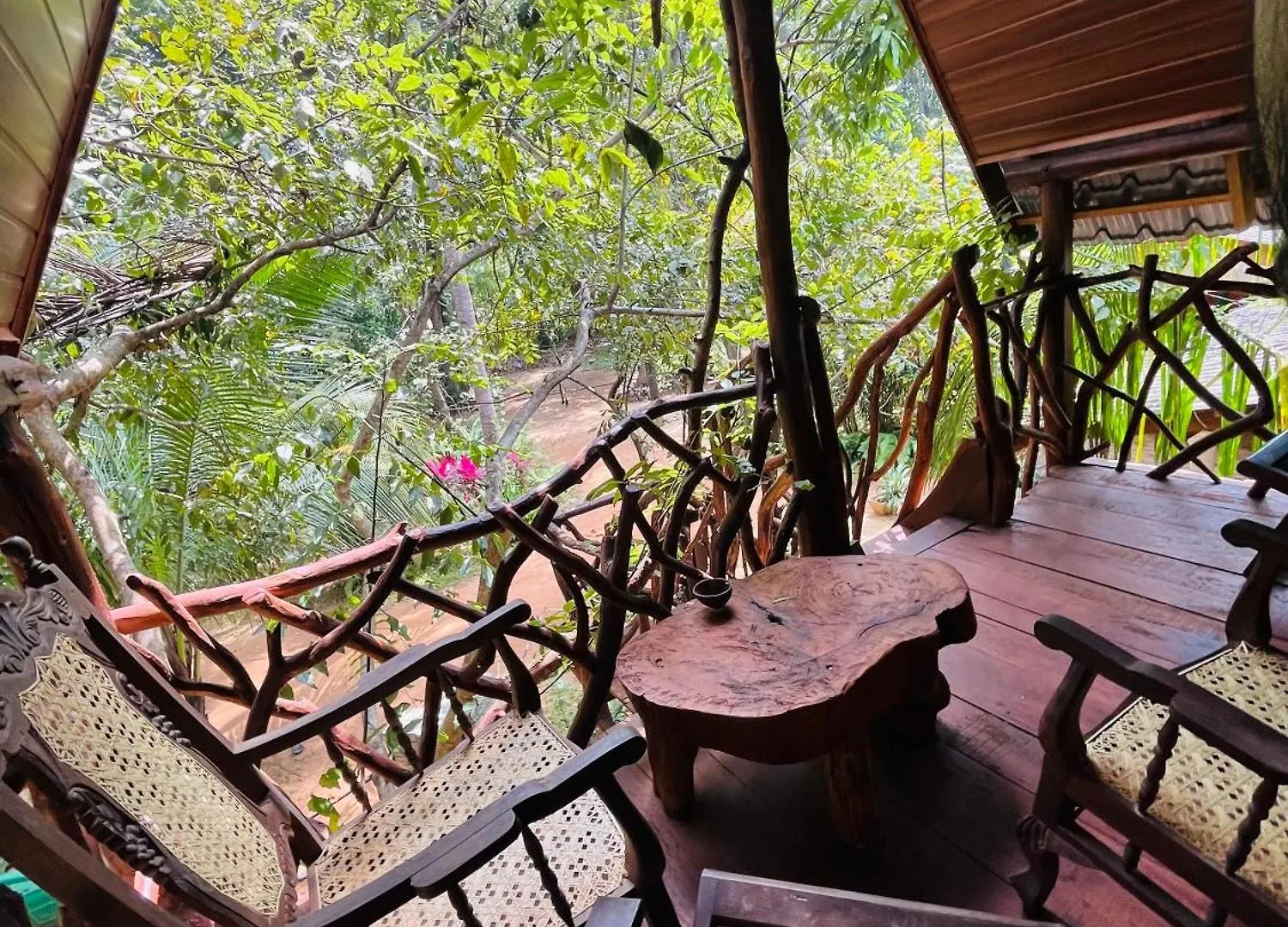 Guest house Sigiri Lodge Tree House Sigiriya Sri Lanka