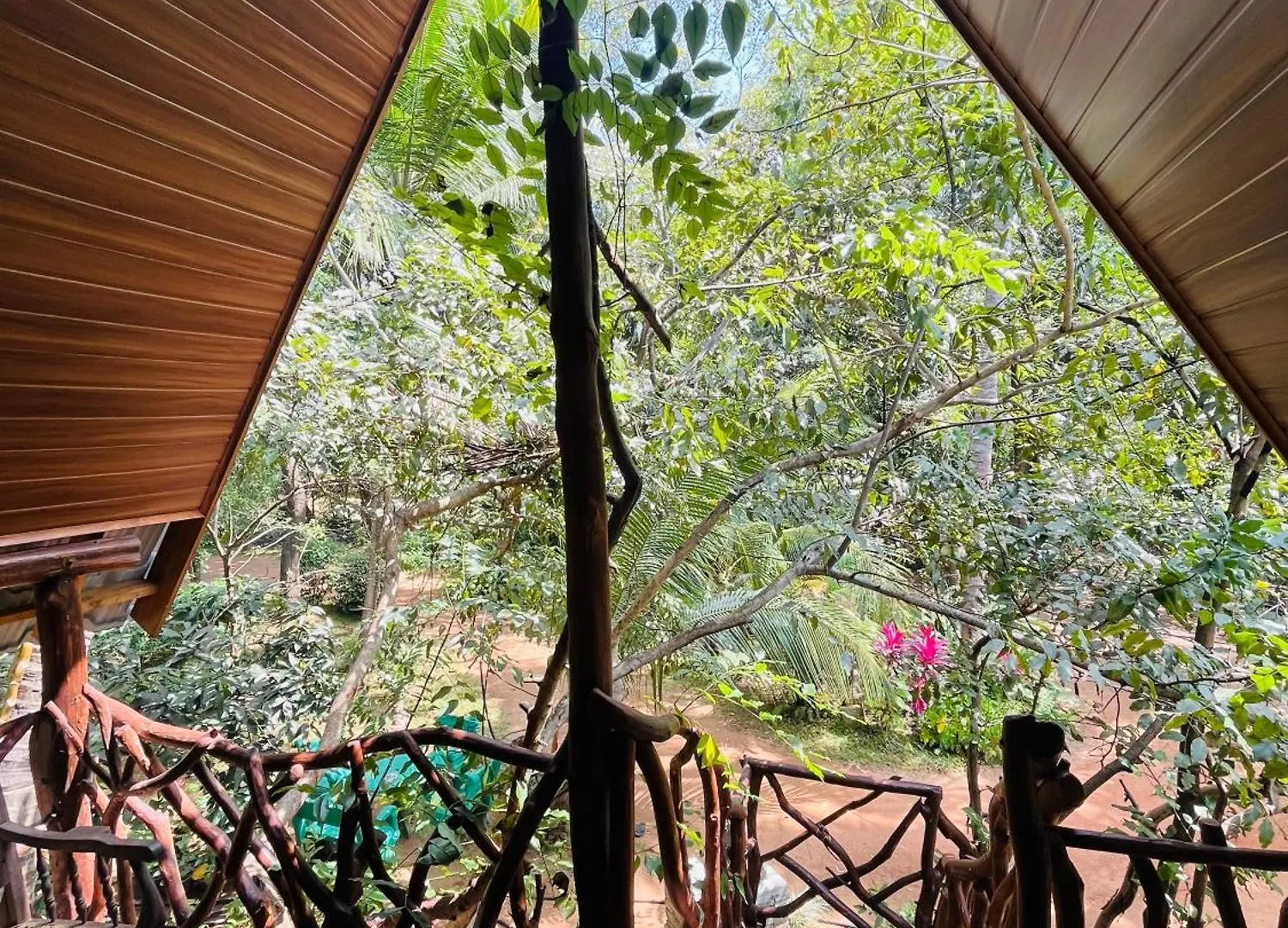 Sigiri Lodge Tree House Sigiriya
